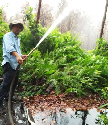 Belajar dari Jumpun Pambelom