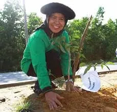 Walikota Kendari Apresiasi Penghijauan HUT ke-2 Zonasultra.com