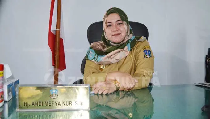 Ketua DPD Nasdem Andi Merya Nur
