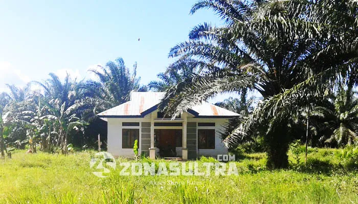 Menengok Desa Puusuli di Konawe Utara, Tak Punya Listrik, Pelayanan Kesehatan Sekali Sebulan