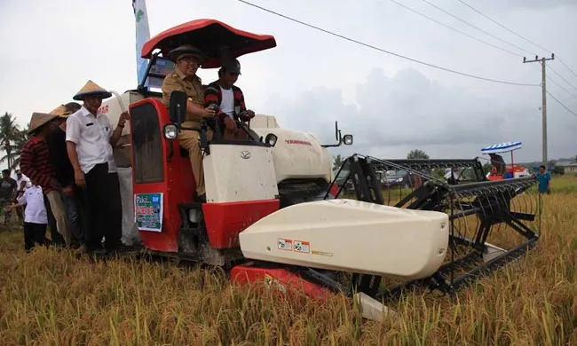 Walikota Kendari Asrun melakukan panen raya di kawasan persawahan Amohalo kelurahan Baruga dengan menggunakan mesin panen, dari 850 areal sawah di Kota Kendari hanya 720 hektar yang bisa berproduksi tahun ini
