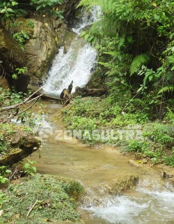 aliran-air-dari-mata-air-wataroda