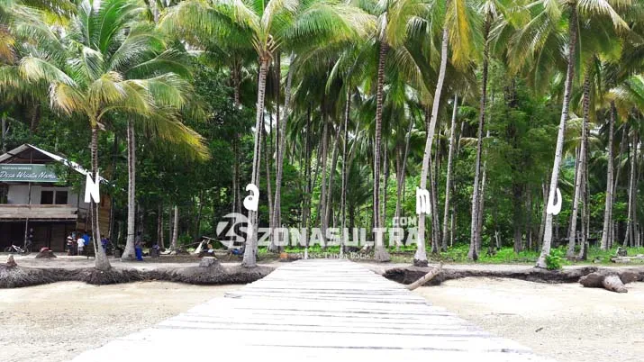 Warga Desa Namu Menanti Penerangan Listrik