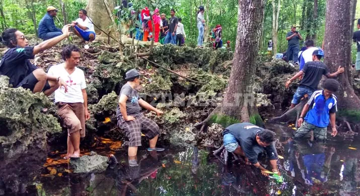 Wisata Udang Merah, Misteri dan Eksotisme Pulau Buton