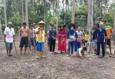 penanaman_jagung_konut1