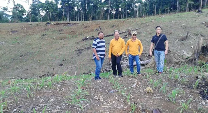 PT Jafpa Makassar Siap Beli Hasil Panen Jagung Hibrida Konut