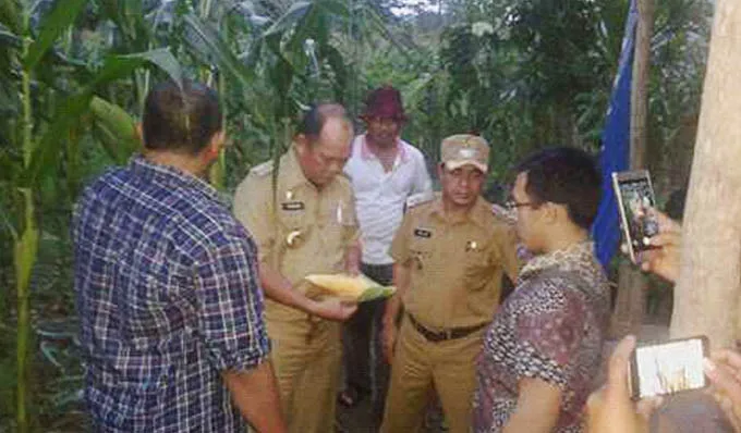 PT Jaffa Makassar Lirik Jagung Hibrida Konasara Konut