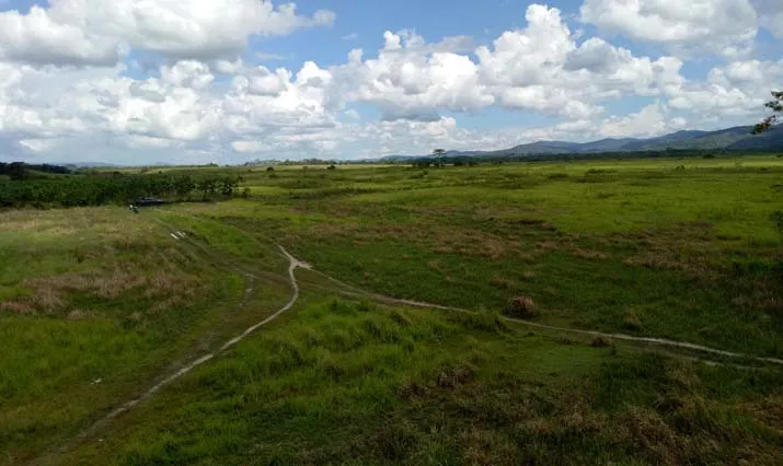 Yonif 725 Woroagi Bersama Gempita Siap Garap Lahan Tidur Untuk Jagung Hibrida