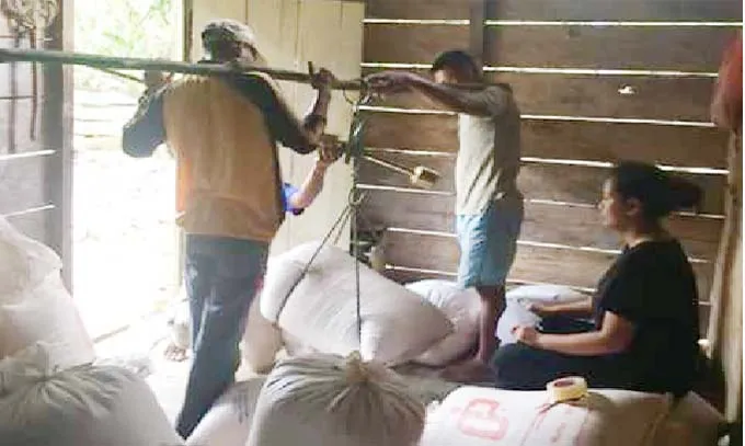 Pemkab Konut Mulai Kumpul Jagung Hibrida Hasil Panen Petani