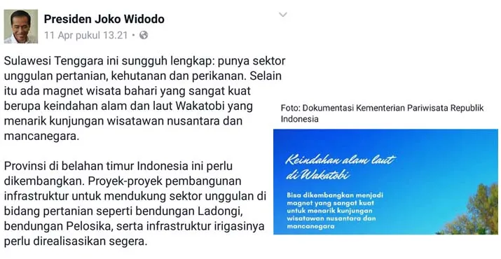 Begini Kata Jokowi Melihat Potensi Sultra