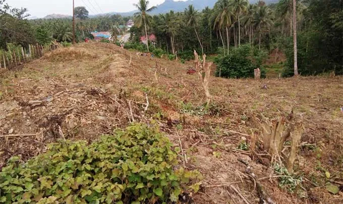 Atasi Kesulitan Ekonomi Masyarakat, Pemdes Waworaha Tanam Nilam