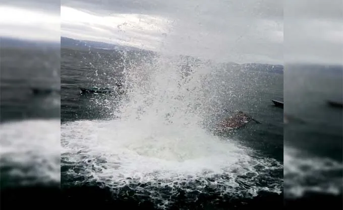 Marak Pemboman Ikan di Dermaga, Warga Konkep Gelar Demonstrasi