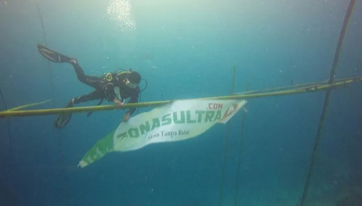 HUT RI, ZONASULTRA.COM berkibar di bawal Laut Wakatobi, hut ri 72, zonasultra, zonasultra.id