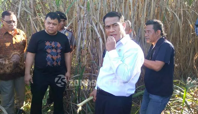 Mentan Anggarkan Rp 2 Triliun Bangun Pabrik Gula di Konsel