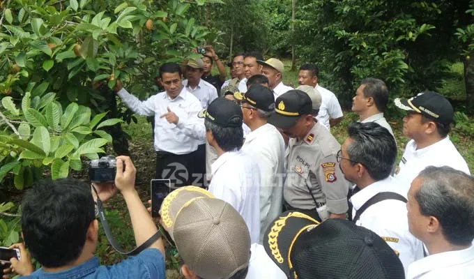 Amran Sulaiman Jadikan Konkep Sebagai Kota Kelapa
