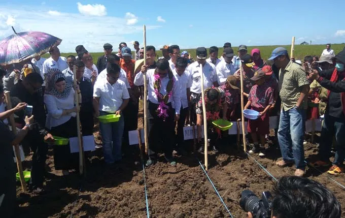 Mentan Perintahkan Gempita Ajak Masyarakat dan LSM Garap Lahan Tidur
