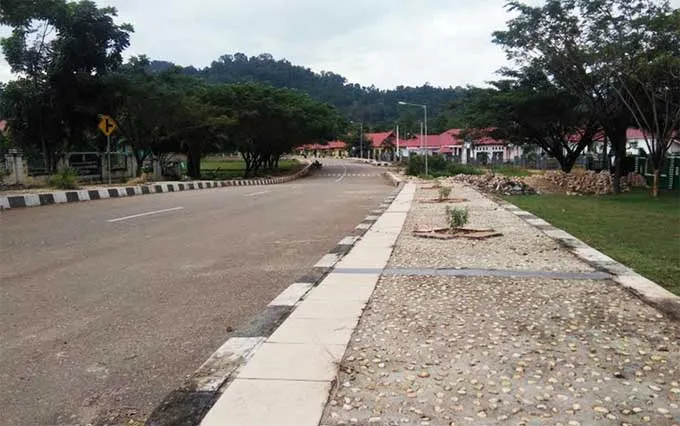 Wujudkan Kota Hijau, DLH Konut Tanam 10 Ribu Pohon Trambesi