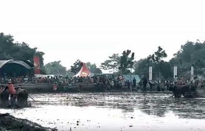 Semipro, Seminggu di Kota Probolinggo, Kenalkan Wisata Budaya Lokal