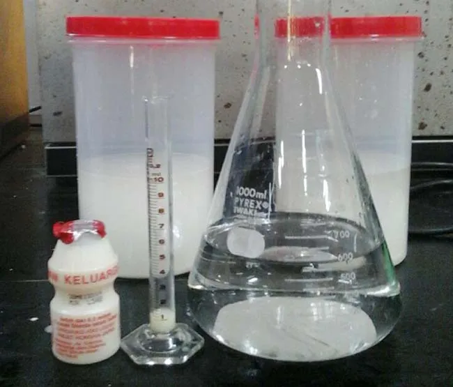 Peneliti UHO Sukses Modifikasi Pati Sagu untuk Gantikan Peran Terigu dalam Makanan