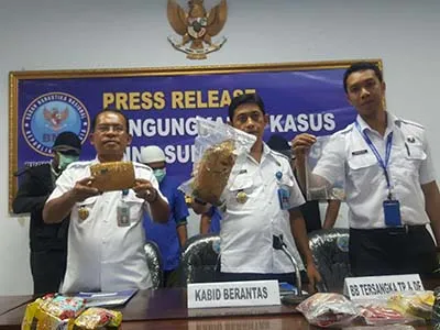 Hendak Edarkan 1,63 Kilo Ganja, Paman dan Ponakan Diamankan BNNP Sultra