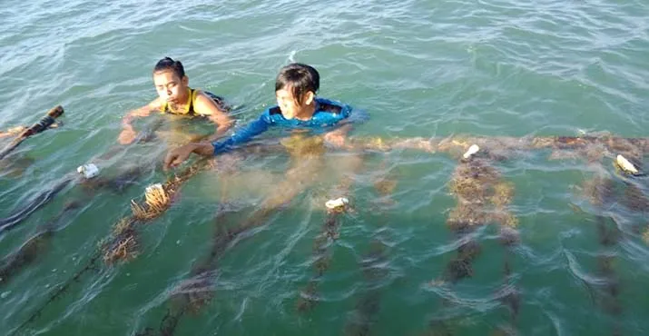 Peserta KKN UMK Kembangkan UMKM Bagi Petani Rumput Laut di Konsel