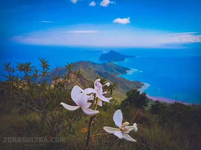 Pulau Padamarang, Wisata Bahari Eksotis di Kolaka yang Terbaikan