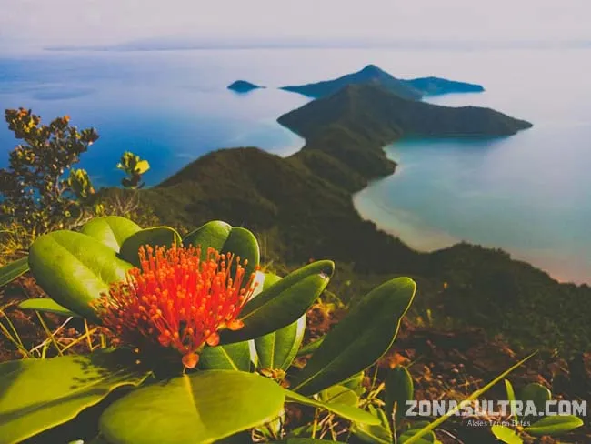 Pulau Padamarang, Wisata Bahari Eksotis di Kolaka yang Terbaikan