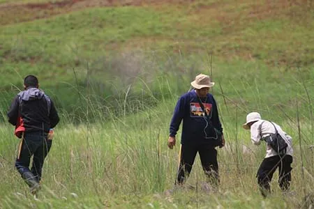 Mengenal Kehidupan Maleo di Taman Nasional Rawa Aopa Watumohai