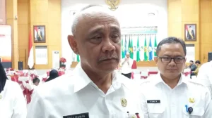 Dirjen Bina Pemerintahan Desa Kemendagri Nata Irawan