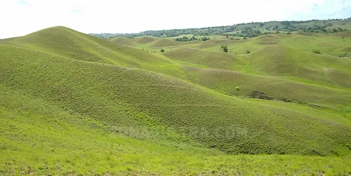 Bukit Teletubies Tinabite