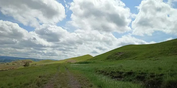 Bukit Teletubies Tinabite