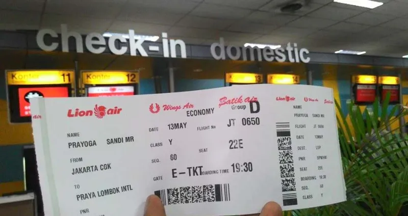 Polemik Penghapusan Bagasi 20 Kg, Hingga Naik Turunya Harga Tiket Pesawat