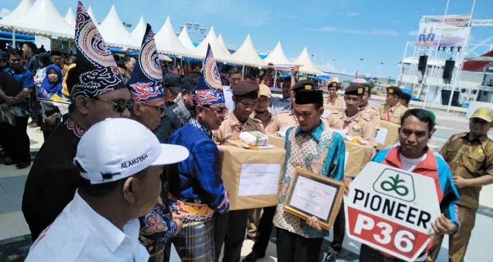 15 Tahun Kolaka Utara, Pendapatan Masyarakat Digenjot Lewat Perkebunan