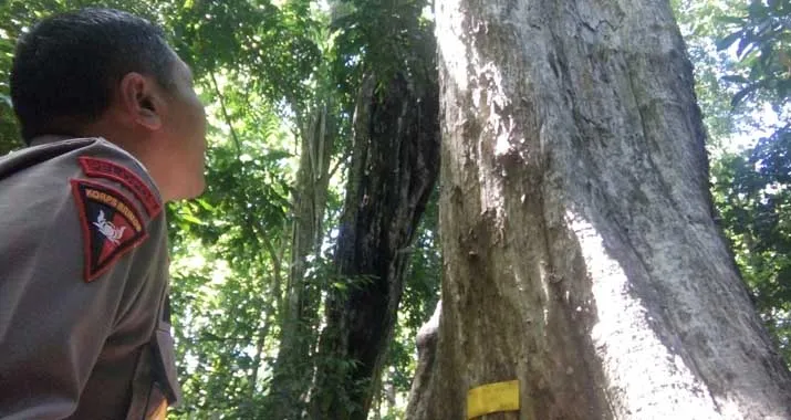 muna cagar alam napabalano