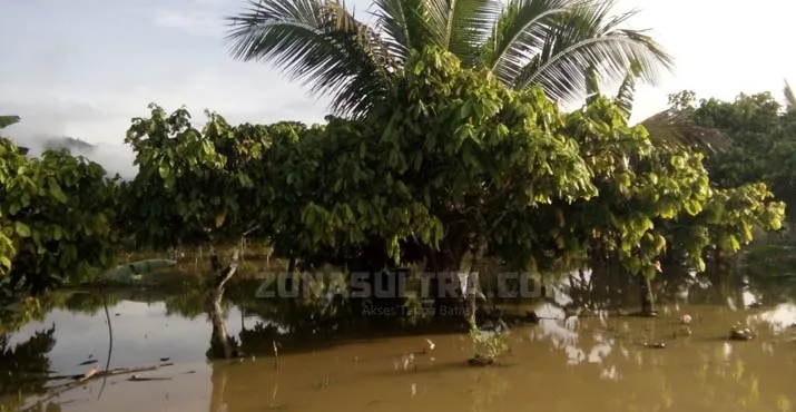 Jerit Warga Wungguloko Koltim di Tengah Luapan Banjir