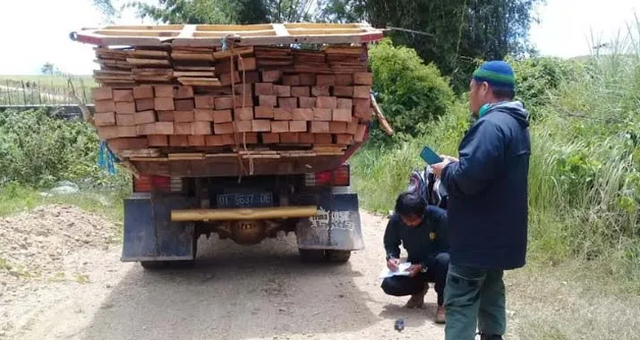 Petugas TNRAW Amankan Pelaku Illegal Logging di Blok Hutan Tinabite