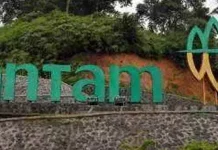 Antam Berbagi Indahnya Ramadhan Bersama Anak Yatim Antam
