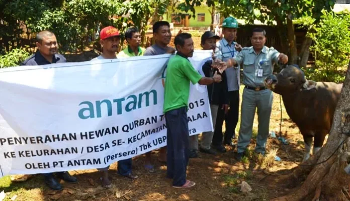serahkan_sapi