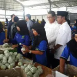 Kembangkan Industri Agrobinis di Kolaka, PT Nusantara Tropical Farm Investasi 300 Miliar Kembangkan Industri Agrobinis di Kolaka, PT Nusantara Tropical Farm Investasi 300 Miliar