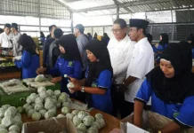 Kembangkan Industri Agrobinis di Kolaka, PT Nusantara Tropical Farm Investasi 300 Miliar Kembangkan Industri Agrobinis di Kolaka, PT Nusantara Tropical Farm Investasi 300 Miliar