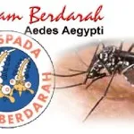 Dalam Dua Bulan, RSBG Kolaka Rawat 85 Pasien DBD Waspada! Cuaca Ekstrim, DBD Mengancam Sultra