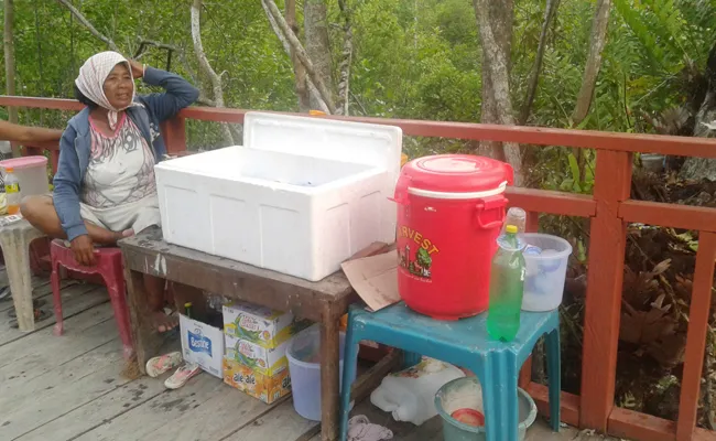 PKL Mulai Bermunculan di Kawasan Wisata Mangrove Bungkutoko jualan_bunggutoko