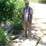 Memprihatikan, 11 Tahun Warga Gunakan Jembatan Penghubung dari Batang Kelapa Memprihatikan, 11 Tahun Warga Gunakan Jembatan Penghubung dari Batang Kelapa