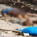 Mengidap Gangguan Kejiwaan, Pria Ini Ditemukan Tak Bernyawa Mengidap Gangguan Kejiwaan, Pria Ini Ditemukan Tak Bernyawa