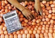 Harga Telur di Kendari Stabil Pasokan Minim, Harga Telur Ayam di Kolaka Melonjak