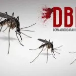 Sepanjang 2017, 36 Warga Konawe Menderita BDB DBD Mewabah, Penjual Obat Mengatasnamakan Petugas Kesehatan Menjamur