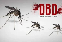 2 Warganya Meninggal, Puskesmas Labibia Kok Santai DBD Mewabah, Penjual Obat Mengatasnamakan Petugas Kesehatan Menjamur