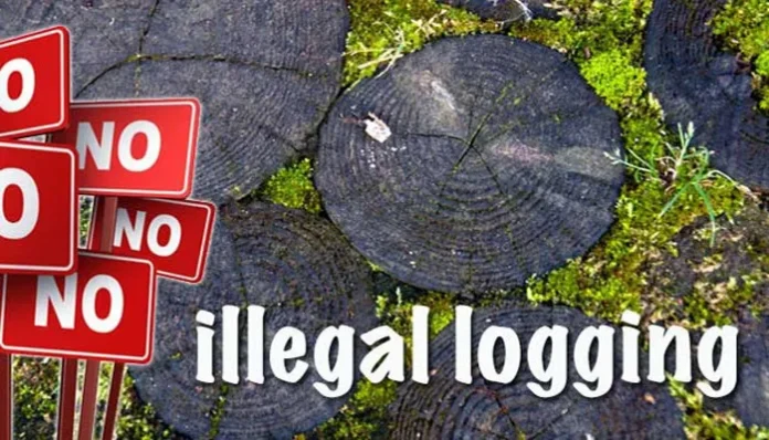 Penyidik Baharkam Mabes Polri Lidik Kasus Ilegal Loging Butur Hingga ke Lombok