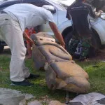 Premium di SPBU Lasolo Diduga Bercampur AirPremium di SPBU Lasolo Diduga Bercampur Air