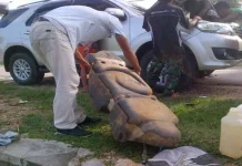 Premium di SPBU Lasolo Diduga Bercampur Air Premium di SPBU Lasolo Diduga Bercampur Air